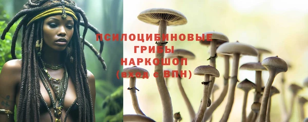гидра Алзамай