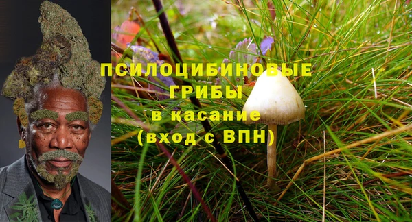 гидра Алзамай