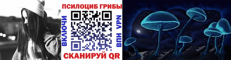 мориарти Telegram  блэк спрут   Пыталово  купить наркотик  Псилоцибиновые грибы GOLDEN TEACHER 
